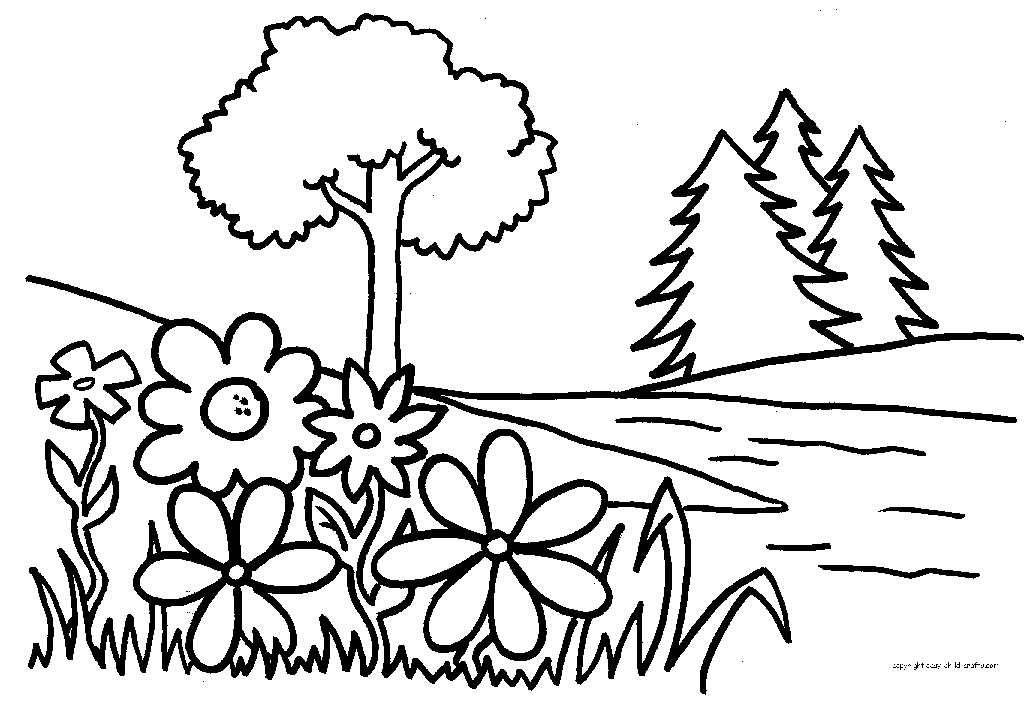colouring sheets flowers and plants plants and flowers colouring pages coloring home plants and sheets flowers colouring 