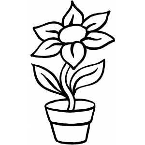 colouring sheets flowers and plants shamrocks plant flower coloring book page printable flowers colouring plants sheets and 