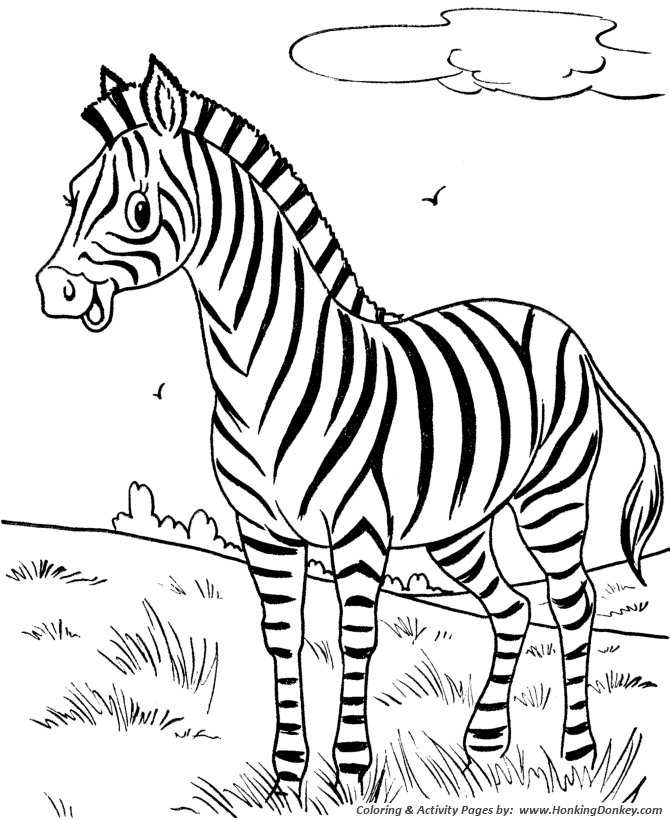 colouring wild animals zoo coloring pages zoo coloring pages zoo animal colouring animals wild 