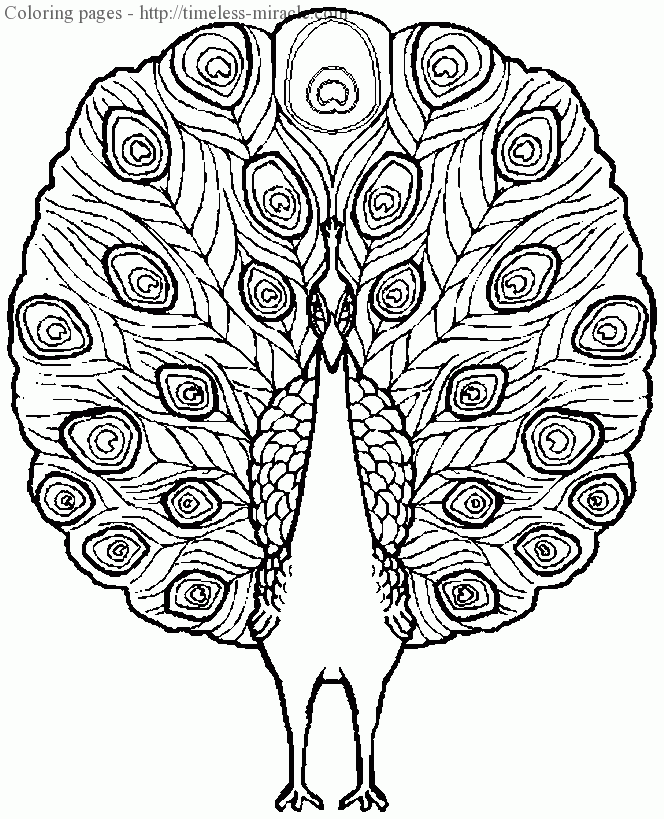 complicated coloring sheets complicated coloring pages to print download free sheets complicated coloring 