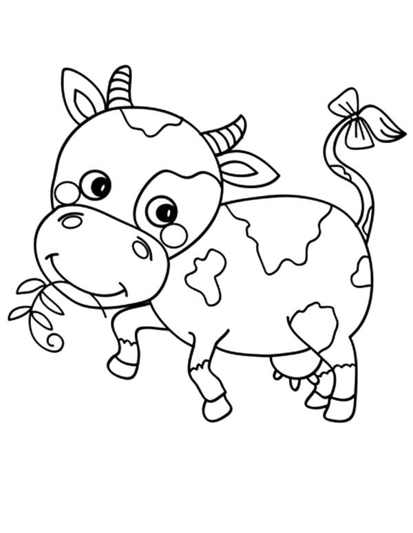 cow coloring page dulemba coloring page tuesday moo cow page cow coloring 