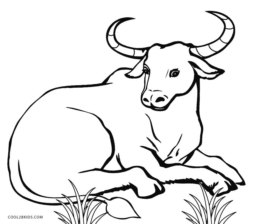 cow coloring page free printable cow coloring pages for kids cool2bkids coloring cow page 1 1