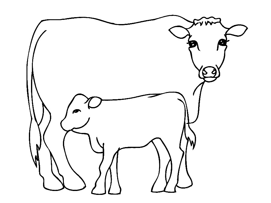 cow coloring page free printable cow coloring pages for kids page coloring cow 