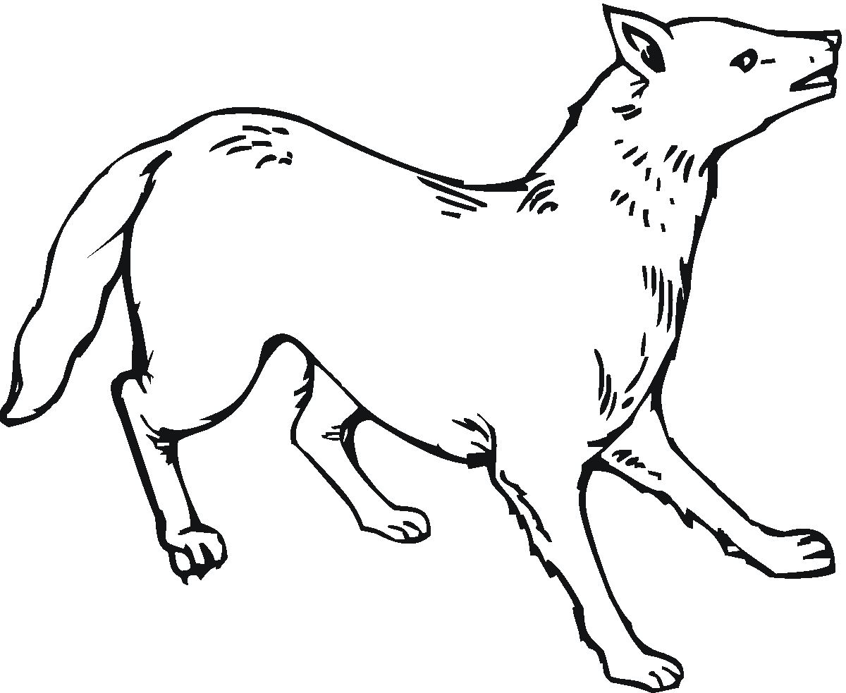 coyote pictures to print coyote coloring pages to download and print for free print coyote to pictures 