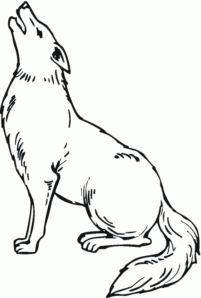coyote pictures to print free printable coyote coloring pages for kids pictures print coyote to 