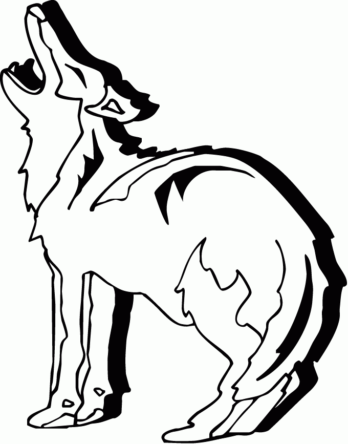 coyote pictures to print free printable coyote coloring pages for kids print to pictures coyote 