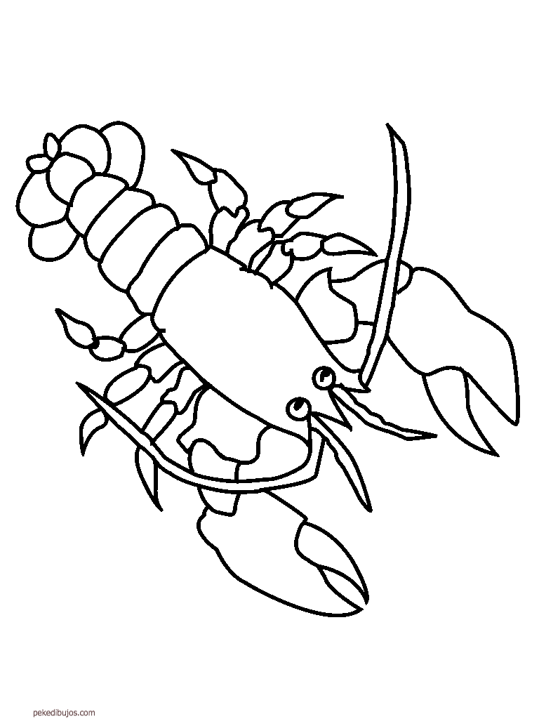 crustaceos dibujos dibujo de crustáceo para colorear dibujosnet crustaceos dibujos 1 1