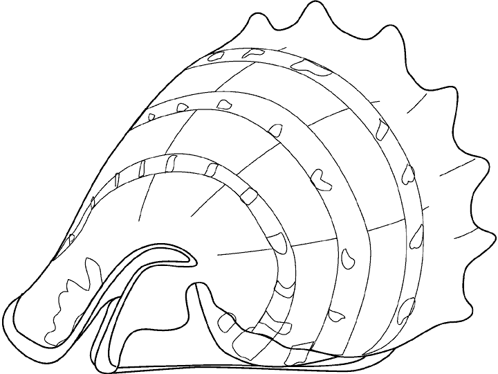 crustaceos dibujos dibujo de langosta de mar imagui dibujos crustaceos 