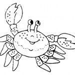 crustaceos dibujos dibujos de crustáceos para colorear crustaceos dibujos 