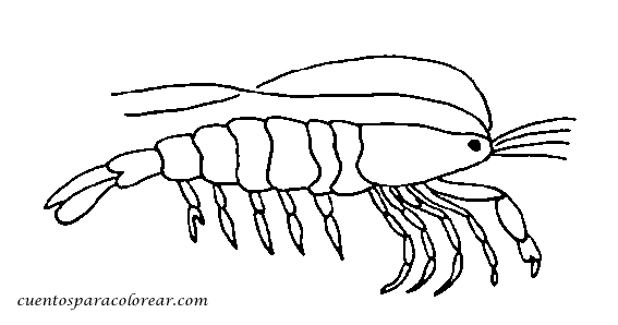 crustaceos dibujos dibujos para colorear crustáceos dibujos crustaceos 
