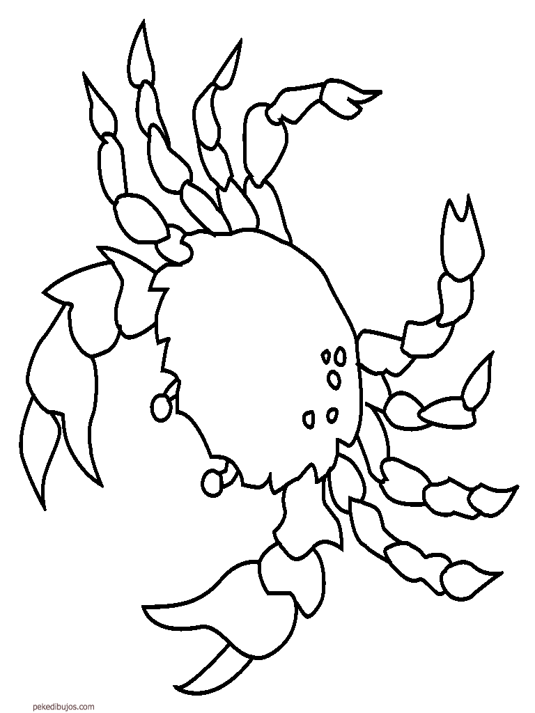 crustaceos dibujos dibujos sin colorear dibujos del señor cangrejo bob dibujos crustaceos 