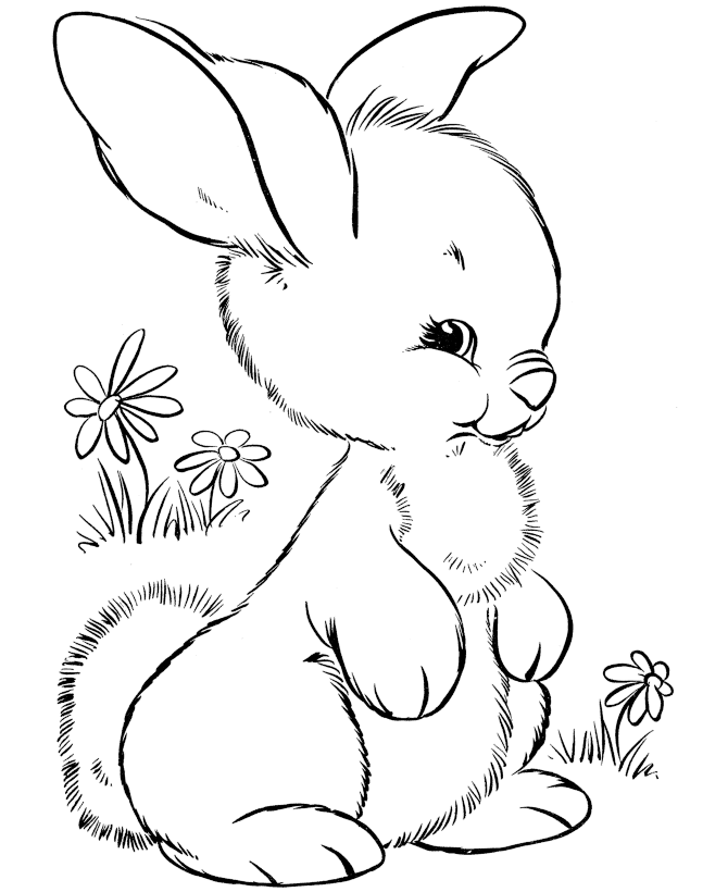 cute bunny coloring pages cute bunny drawing clipart best pages bunny coloring cute 