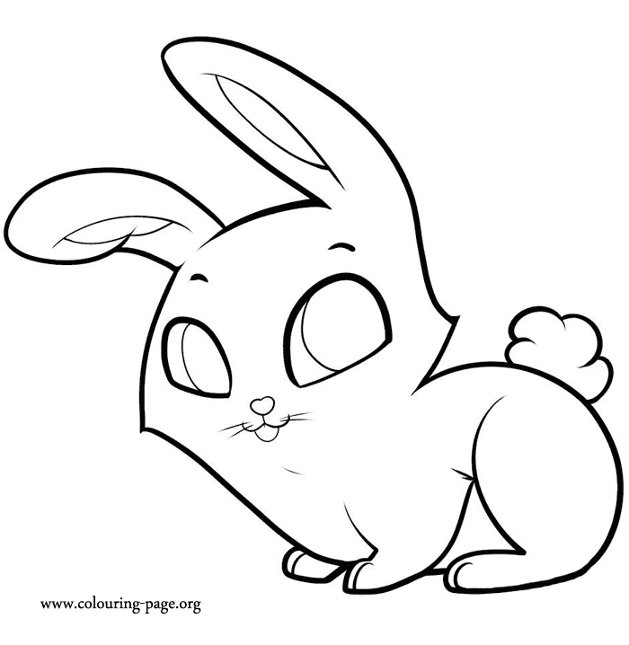 cute bunny pictures to color cute bunny coloring pages to download and print for free pictures bunny to color cute 