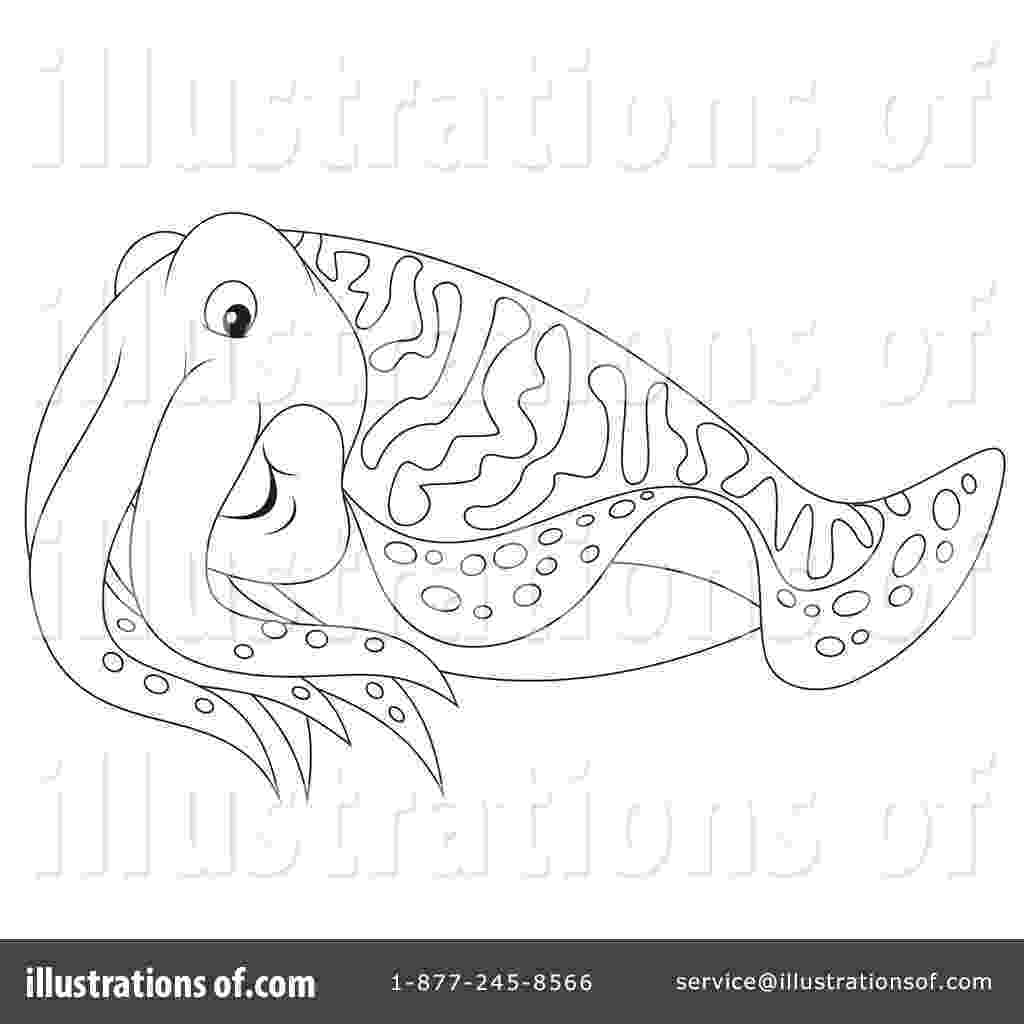 cuttlefish coloring pages 111 sea and ocean animals coloring pages to print cuttlefish coloring pages 