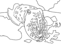 cuttlefish coloring pages coloring pages cuttlefish cuttlefish pages coloring 