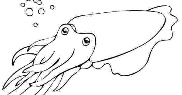 cuttlefish coloring pages cuttlefish coloring pages sketch coloring page coloring cuttlefish pages 