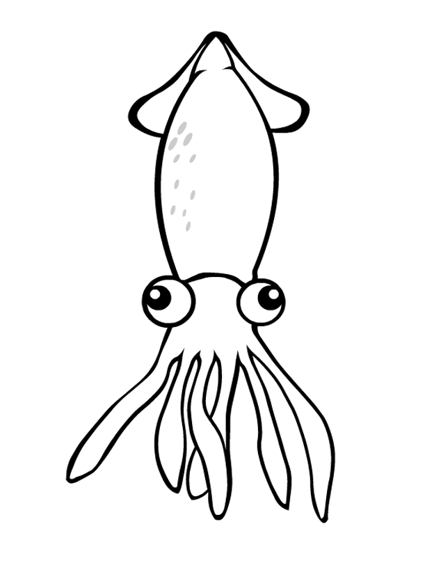 cuttlefish coloring pages cuttlefish headband coloring page educationcom coloring cuttlefish pages 