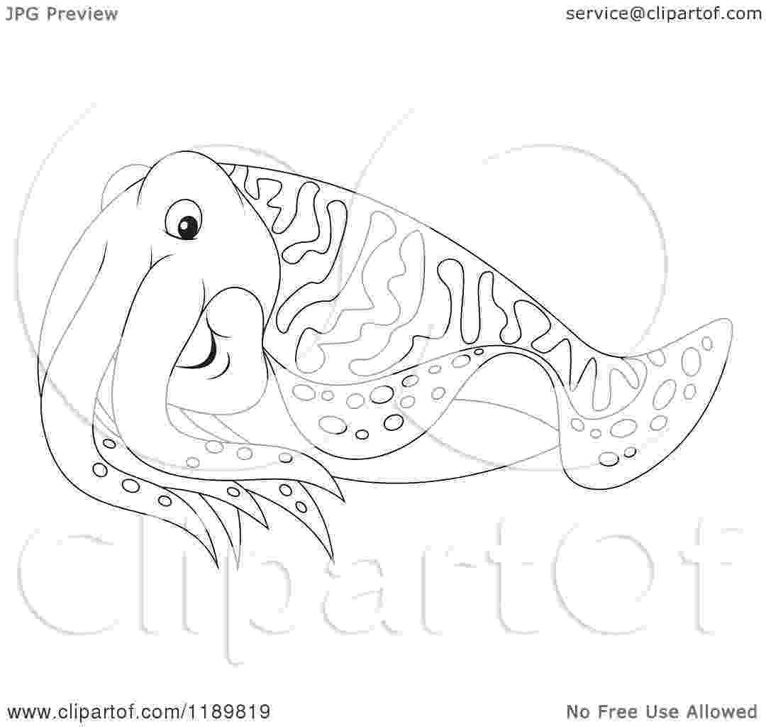 cuttlefish coloring pages cuttlefish mollusca coloring online super coloring cuttlefish coloring pages 