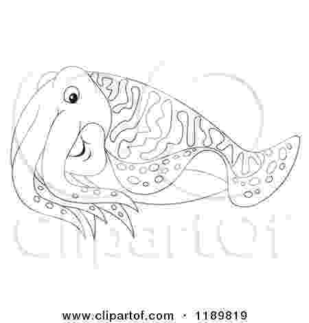 cuttlefish coloring pages download coloring pages coloring cuttlefish pages 