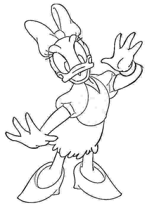 daisy duck pictures image sketch february 2011 duck daisy pictures 