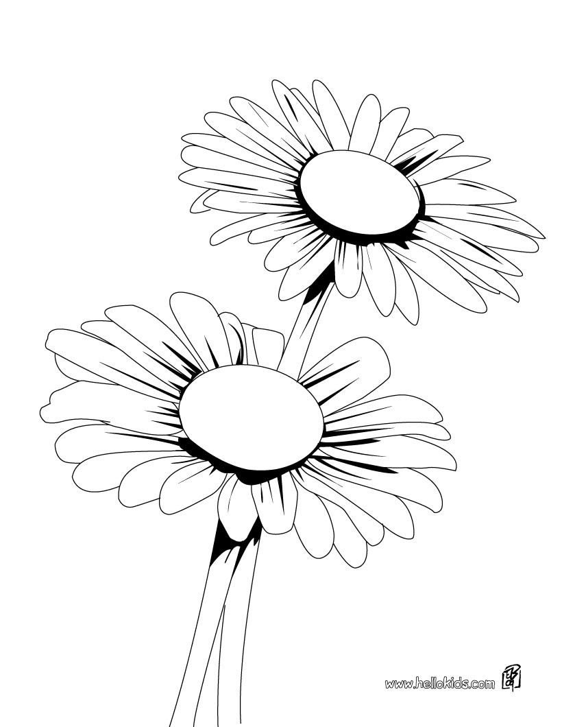 daisy flower colouring pages gerber daisy drawing at getdrawingscom free for colouring flower pages daisy 