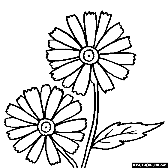 daisy flower colouring pages pin by lisa murphy on art projects for students pinterest colouring daisy pages flower 