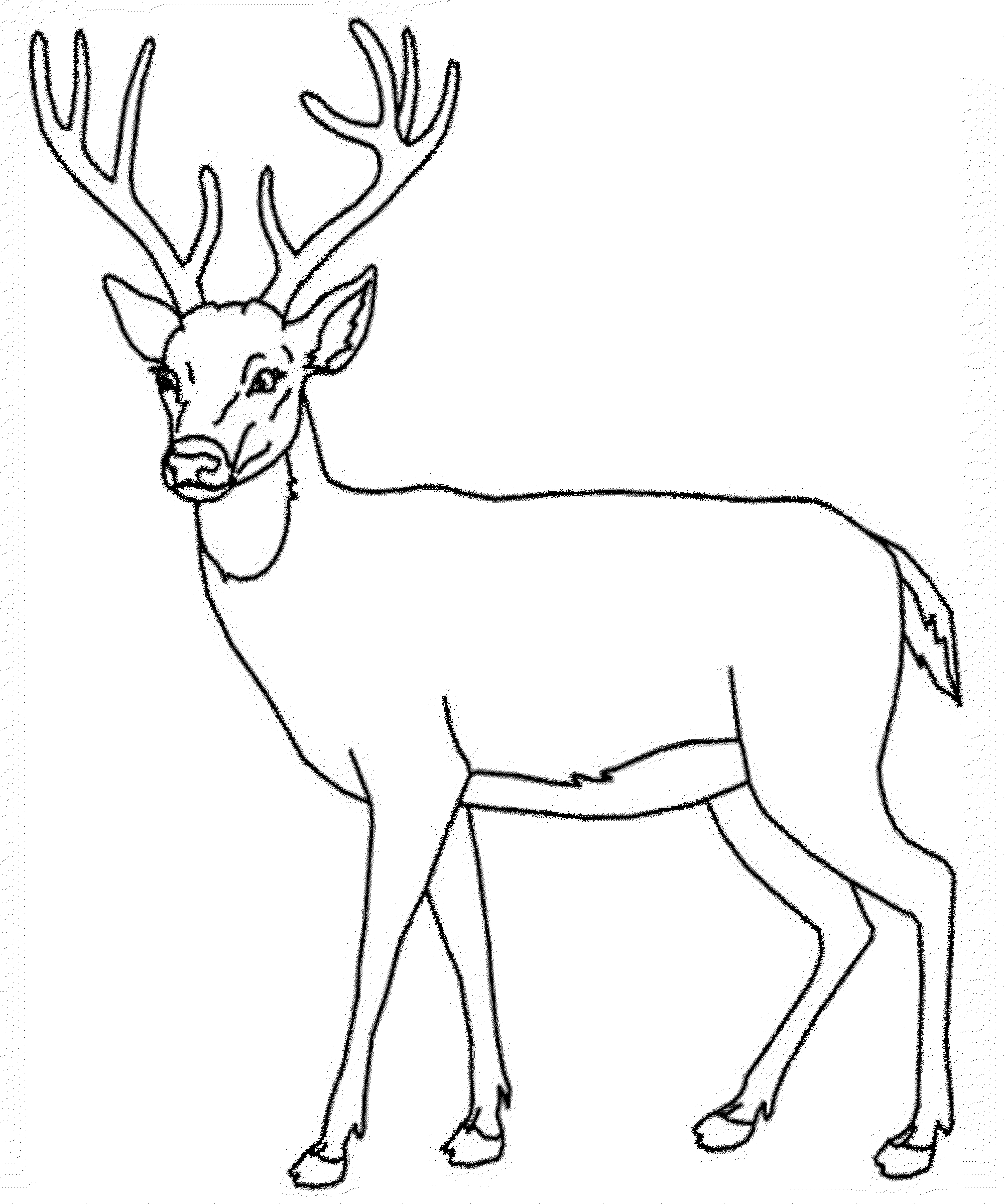 deer coloring page for education new animal deer coloring pages deer page coloring 