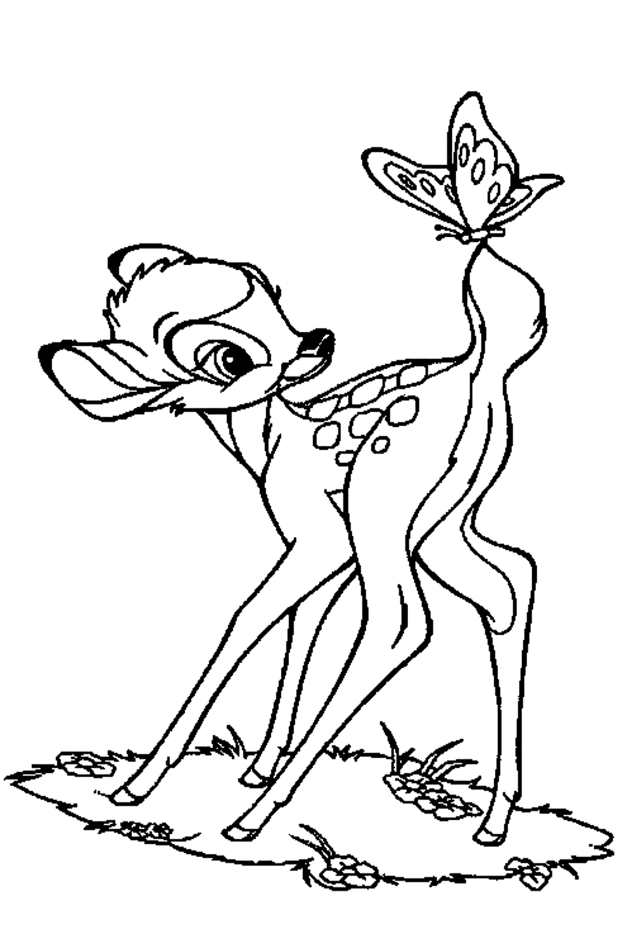 deer coloring page free printable deer coloring pages for kids page deer coloring 