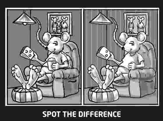 differences in picture comparrot spot the differences puzzles differences in picture 