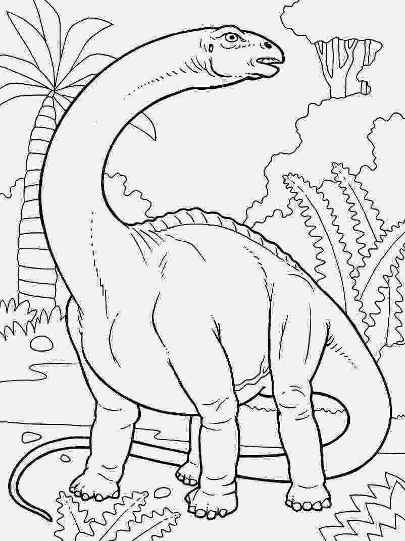 dinosaur color apatosaurus brontosaurus rhamphorhynchus allosaurus color dinosaur 