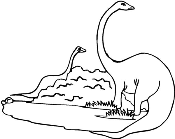 diplodocus coloring page diplodocus dino coloring page free printable coloring pages page coloring diplodocus 