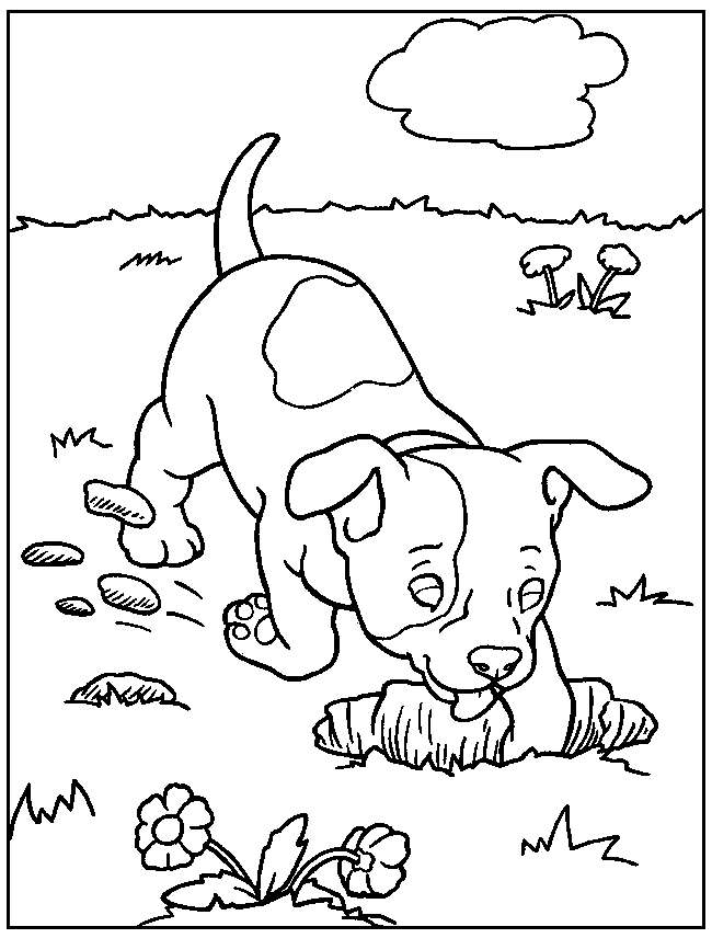 dog coloring page best coloring page dog september 2012 dog page coloring 