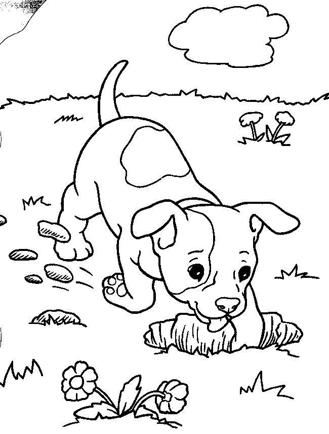 dog coloring pages to print out dog coloring pages for kids preschool and kindergarten print pages dog out coloring to 