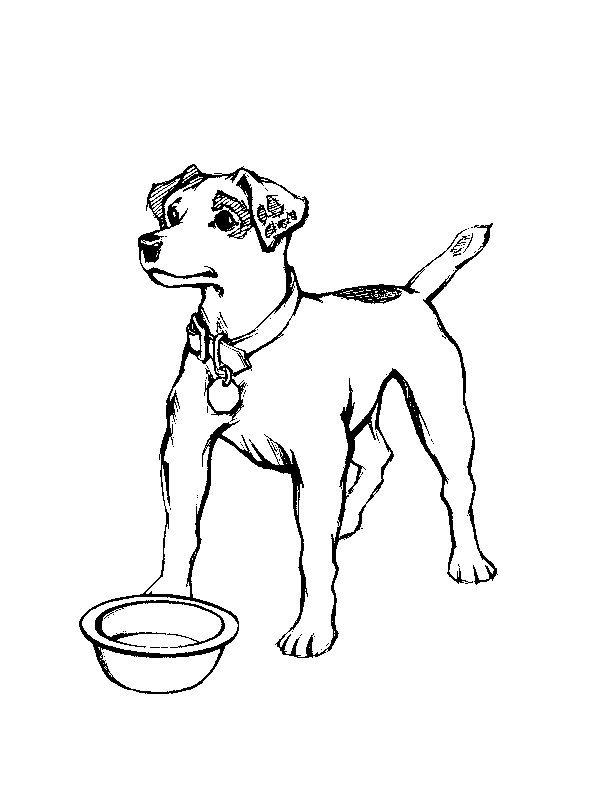 dog coloring pages to print out free printable dog coloring pages for kids dog out coloring pages to print 
