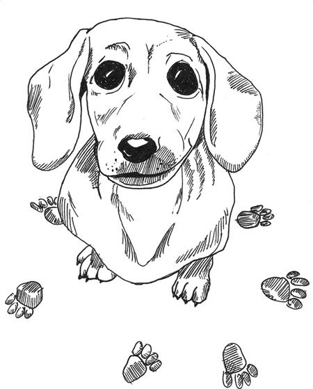 dog face coloring pages dachshund printable coloring pages doxie heaven dog dog face coloring pages 