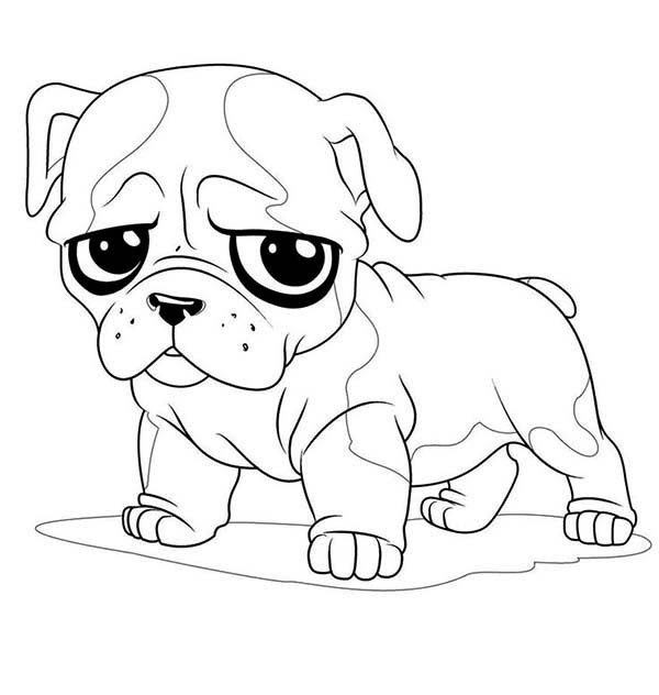 dog face coloring pages dog face coloring page at getcoloringscom free dog face pages coloring 