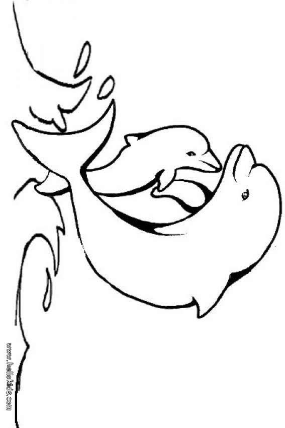 dolphin coloring page baby dolphin coloring pages hellokidscom dolphin page coloring 