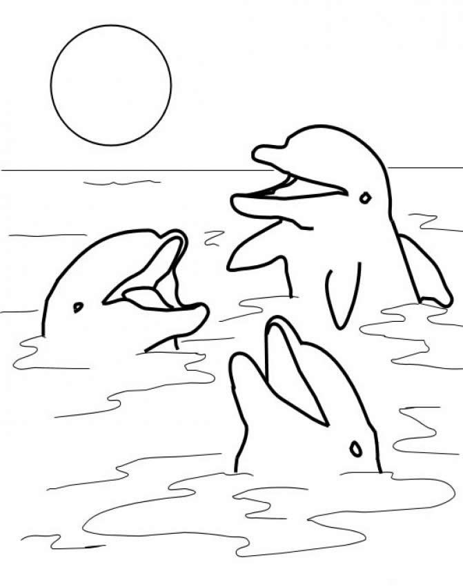 dolphin coloring page dolphin fish animal coloring books for kids coloring dolphin page 