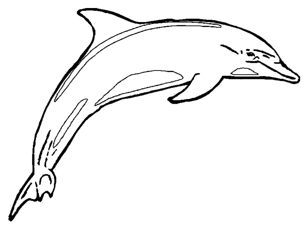 dolphin coloring page free printable dolphin coloring pages for kids dolphin coloring page 