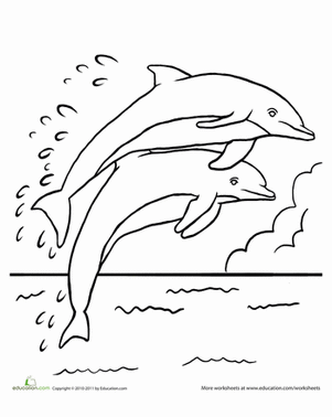 dolphin coloring page leaping dolphins worksheet educationcom coloring dolphin page 
