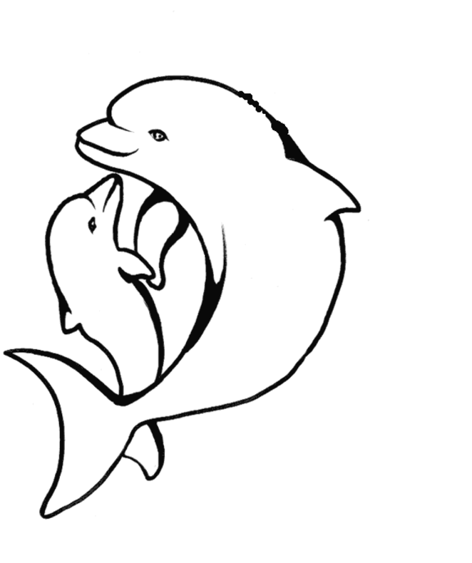dolphin coloring page two dolphins in the ocean dolphins adult coloring pages dolphin coloring page 