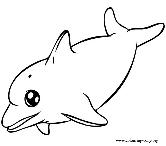 dolphin coloring pages to print out dolphins happy dolphin swimming coloring page print dolphin pages to coloring out 