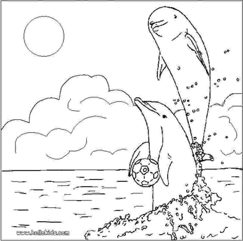 dolphin coloring pages to print out dolphins in love coloring pages hellokidscom pages dolphin coloring print out to 