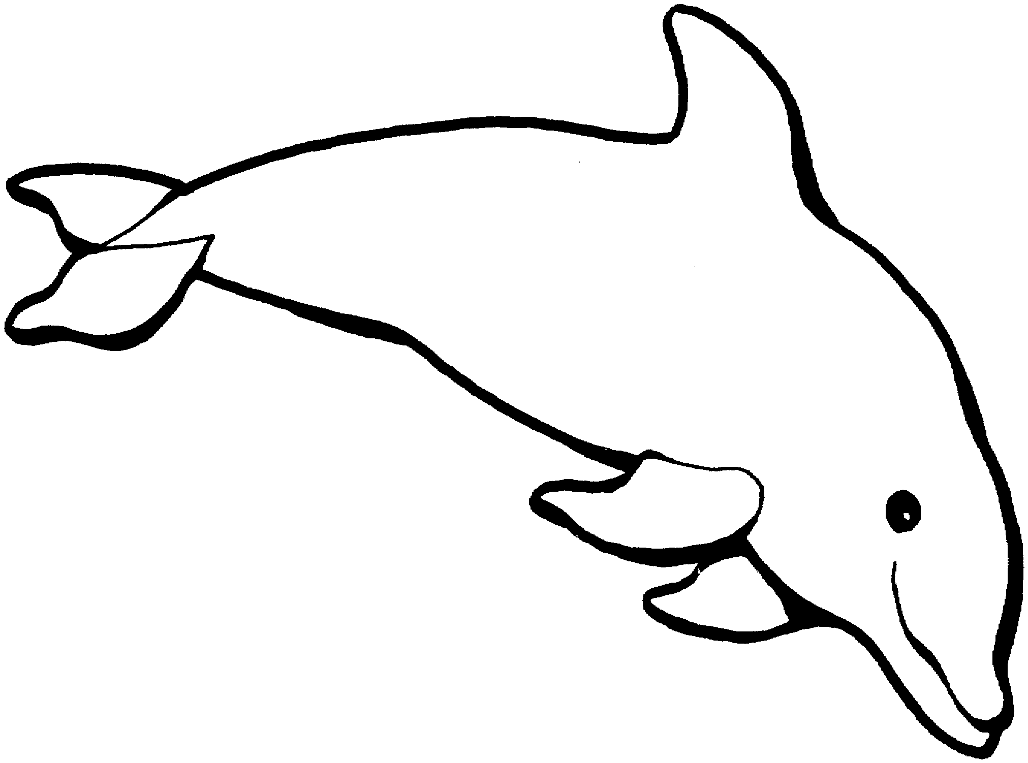 dolphin coloring pages to print out free dolphin coloring pages out dolphin to pages print coloring 