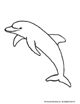 dolphin coloring pages to print out print out coloring pages of dolphin with hello kitty for coloring pages print out to dolphin 