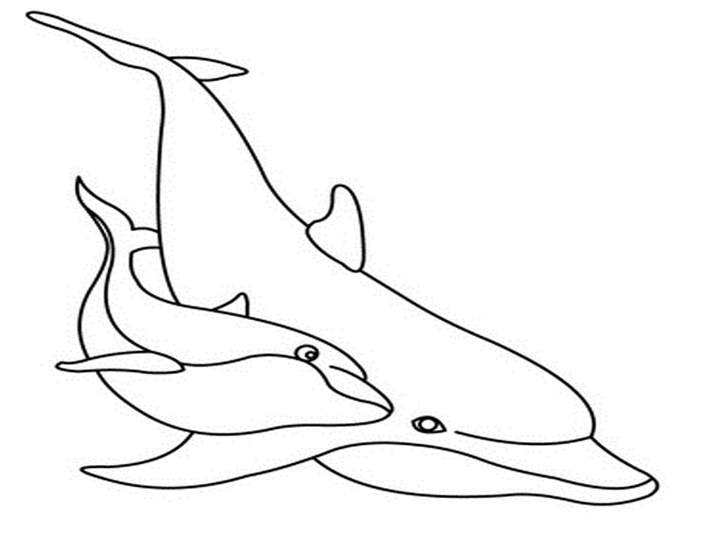 dolphin coloring printables dolphins happy dolphin swimming coloring page printables coloring dolphin 