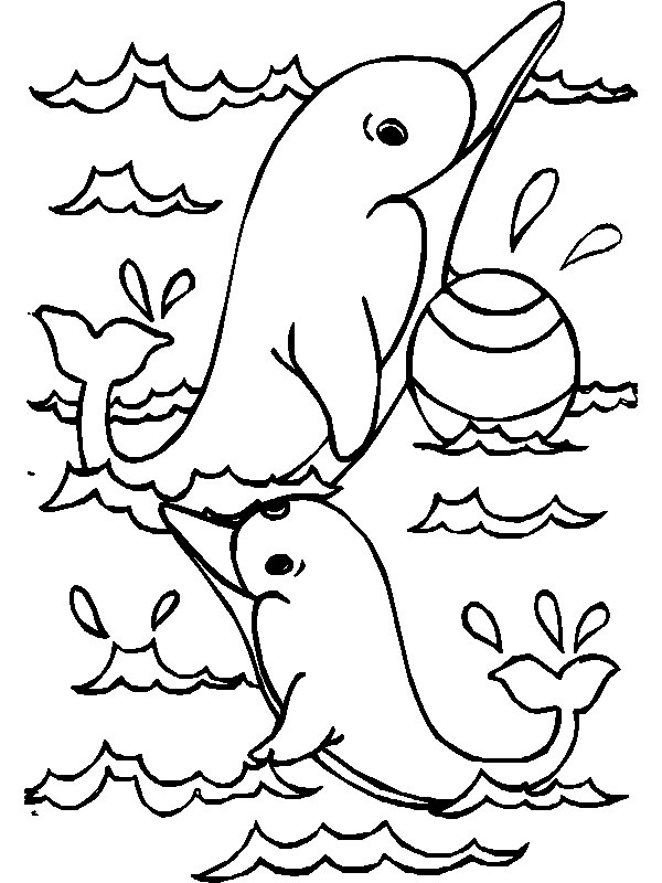 dolphin coloring sheets cute dolphin worksheet educationcom coloring sheets dolphin 