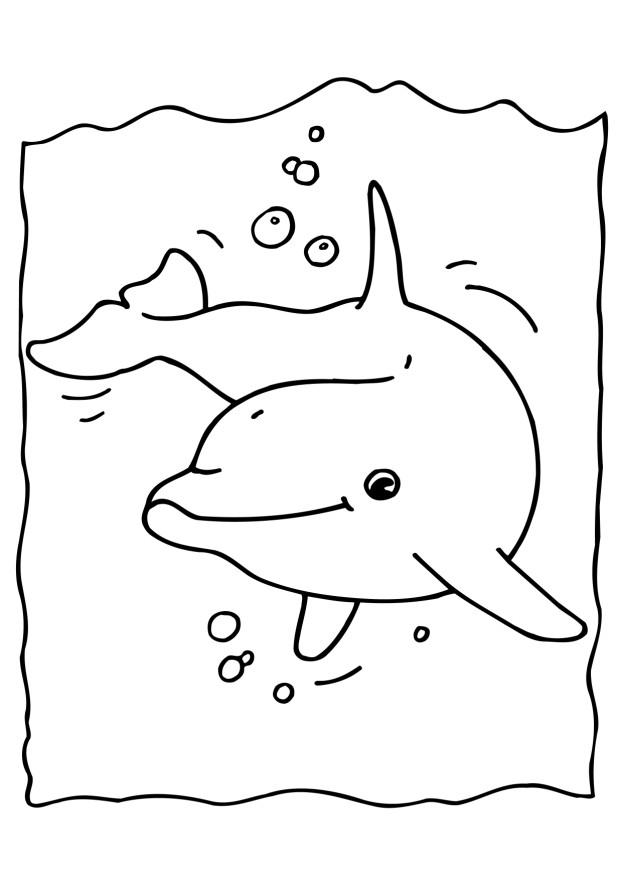 dolphin coloring sheets free printable dolphin coloring pages for kids sheets dolphin coloring 