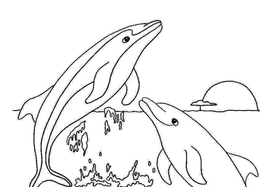 dolphin pics to print dolphin coloring pages getcoloringpagescom pics dolphin print to 