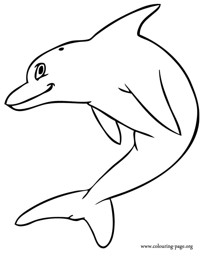 dolphin pics to print dolphin coloring pages to print dolphin middot to dolphin pics print 